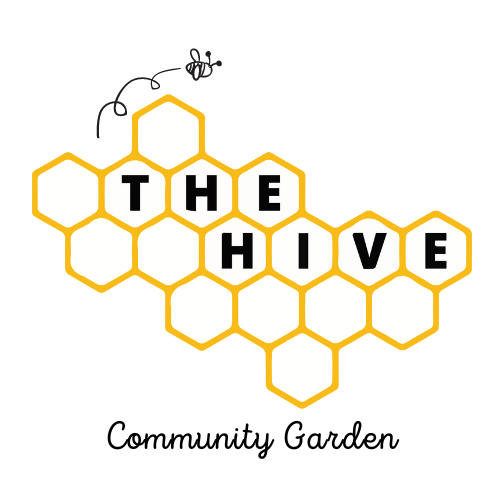 Have you ever heard of The Hive in Coulsdon? If not, you're in for a treat!